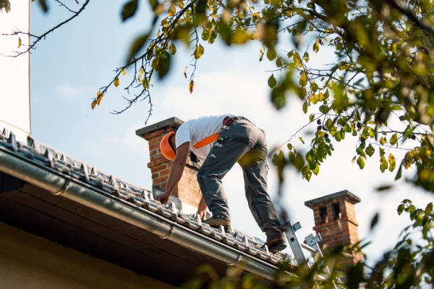 Best New Roof Installation  in Springfield, SD