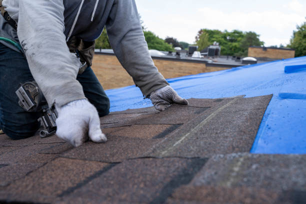 Best Residential Roofing Contractor  in Springfield, SD