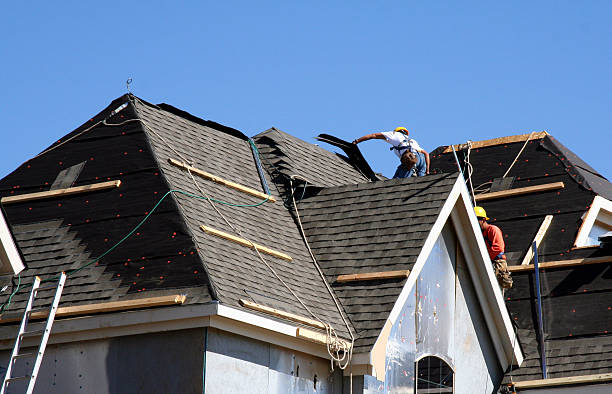 Best Metal Roofing Contractor  in Springfield, SD
