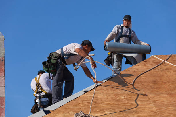 Best Local Roofing Companies  in Springfield, SD